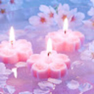 Meet your Posher, Ash